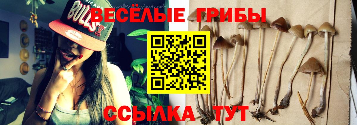 Галлюциногенные грибы Psilocybine cubensis  Псилоцибиновые грибы прущие грибы  Вход с VPN  Ивантеевка 